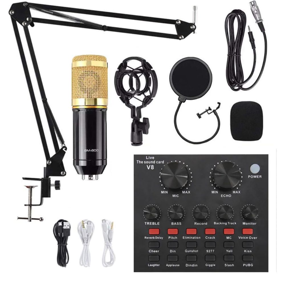 BM800 Condenser Microphone Full Studio Setup With V8 Sound card