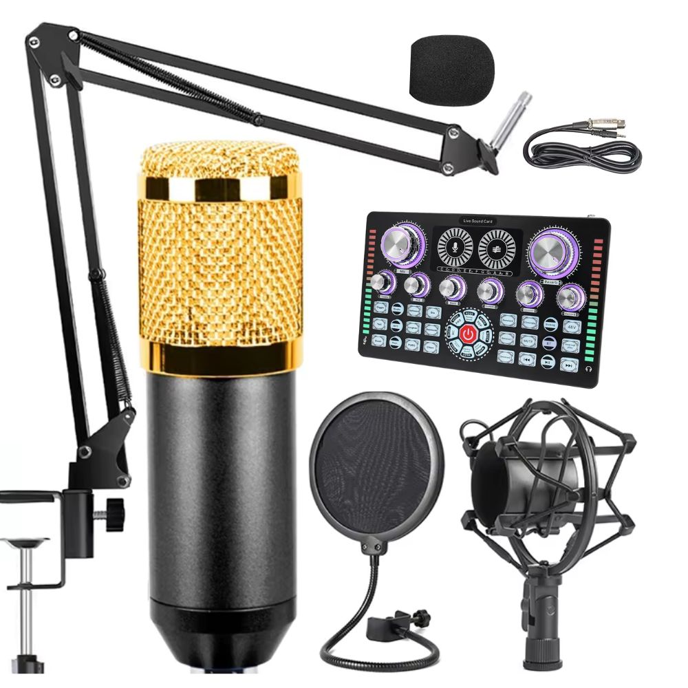 BM800 Condenser Microphone with Q7 Live Sound Card Combo