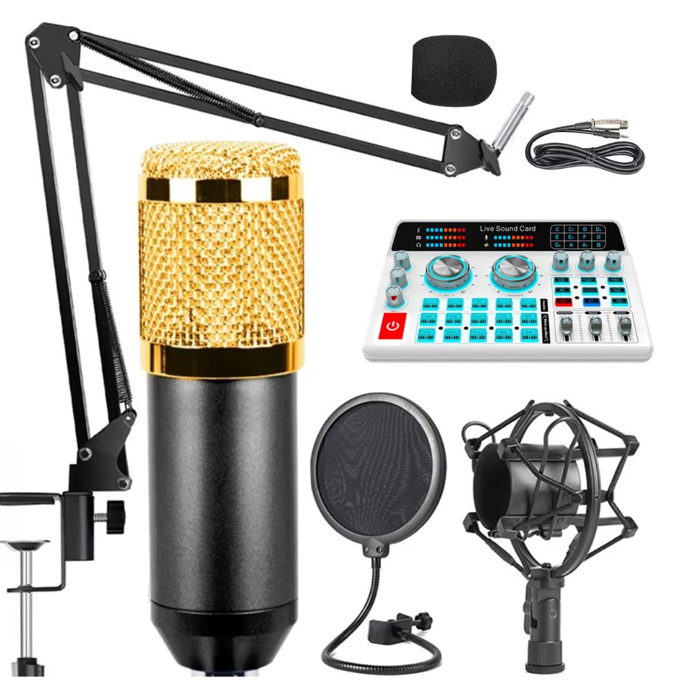 BM800 Condenser Microphone with H9 Live Sound Card Combo