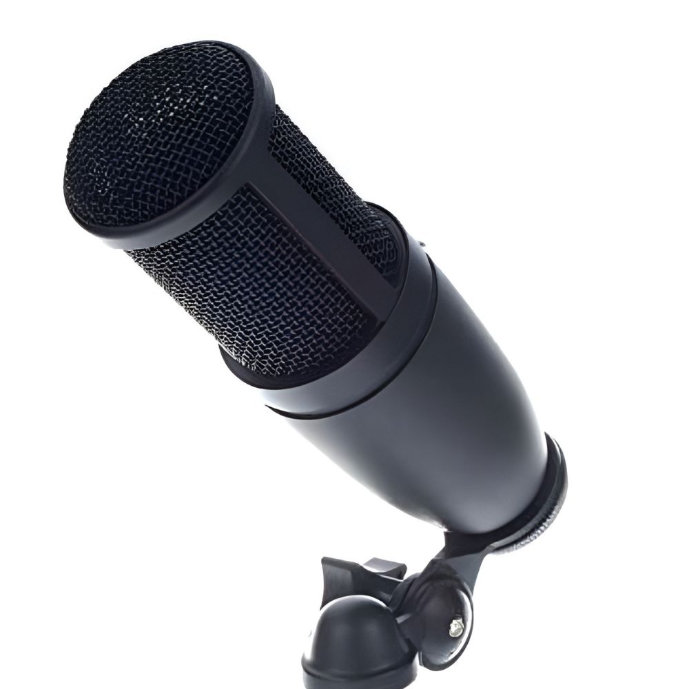 AKG P120 Cardioid Condenser High Performance Microphone - Image 2